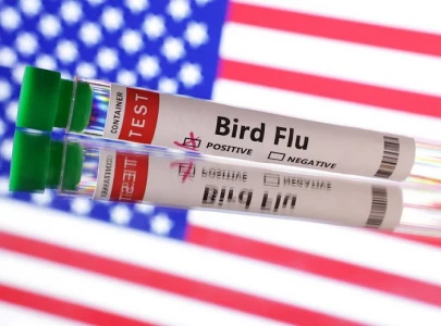 human case of bird flu reported in colorado