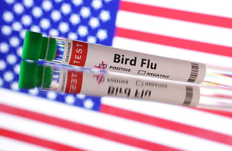 test tubes is seen labelled bird flu words in front of us flag in this illustration taken june 10 2024 photo reuters