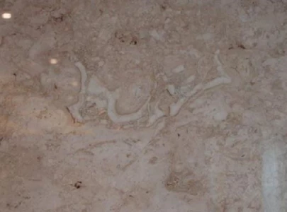 bismillah found on 195 million year old marble discovered in turkey