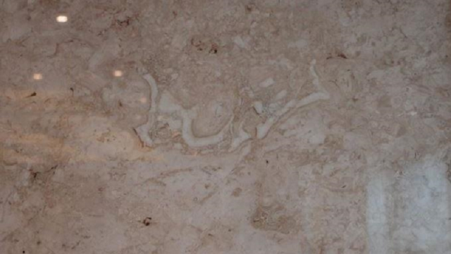 writing discovered on 195 million year old marble in mediterranean province of antalya photo anadolu agency writing discovered on 195 million year old marble in mediterranean province of antalya photo anadolu agency