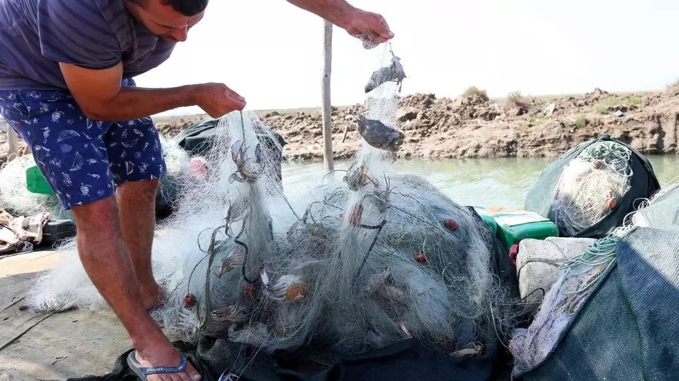 in the marshy coastal area near the karavasta lagoon the blue crab clogs nets and weirs photo afp