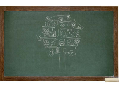 green classes schools in 12 more districts to get environment education green classes schools in 12 more districts to get environment education