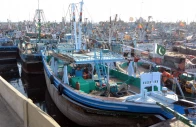 fishing boats seen anchored at the karachi fish harbour following the ban imposed on coastal activities ahead of cyclonic storm biparjoy over the arabian sea photo jalal qureshi express