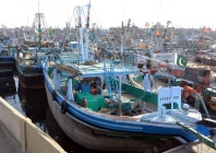 fishing boats seen anchored at the karachi fish harbour following the ban imposed on coastal activities ahead of cyclonic storm biparjoy over the arabian sea photo jalal qureshi express