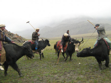 broghil festival photo express