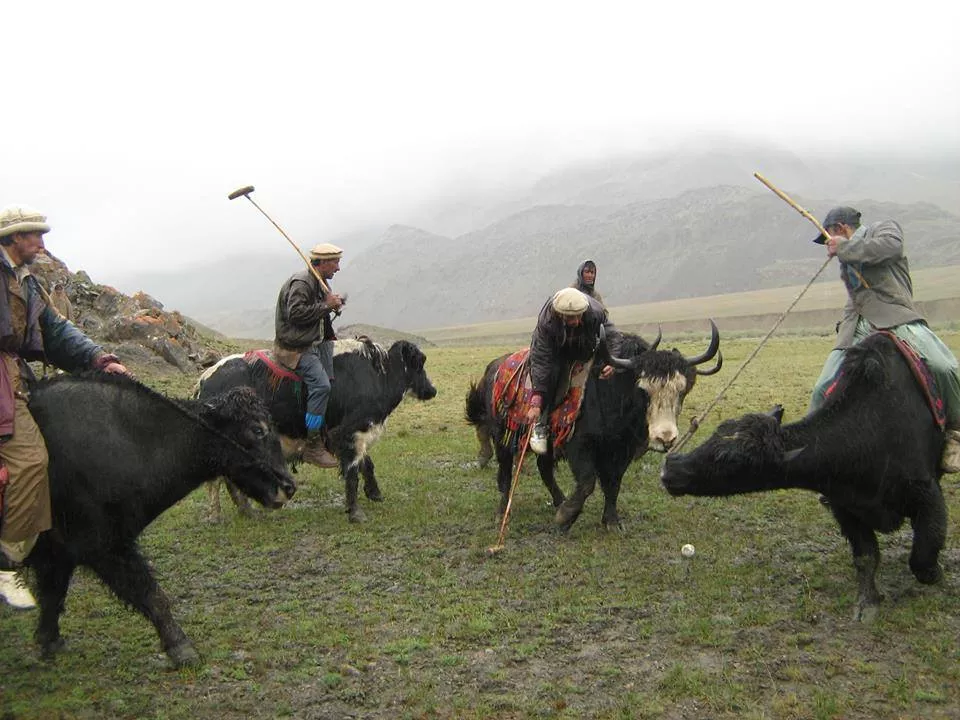 broghil festival photo express broghil festival photo express