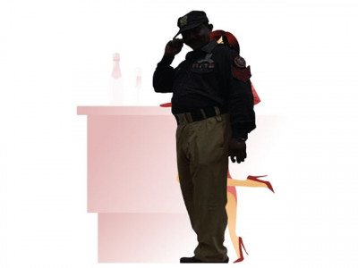 brothels the business that fails to fade away