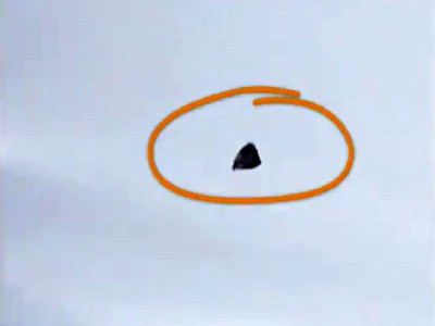 watch brown bear runs in snow in pakistan