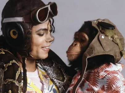 michael jackson s chimpanzee bubbles celebrates 40th birthday at sanctuary