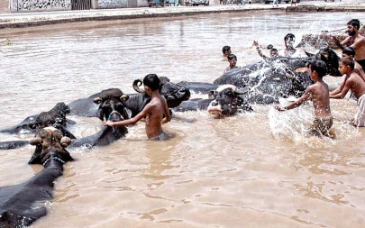 buffalo billing for damages buffalo billing for damages