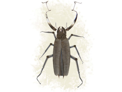 coming to a pharmacy near you don t get bugged get better with the help of a cockroach