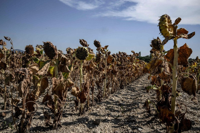 2023 likely to be hottest year on record 2023 likely to be hottest year on record