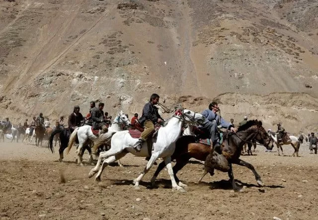 not for the faint hearted afghan taliban embrace buzkashi in new afghanistan not for the faint hearted afghan taliban embrace buzkashi in new afghanistan