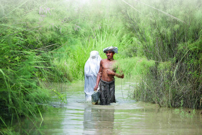 capturing all the shades of nature capturing all the shades of nature