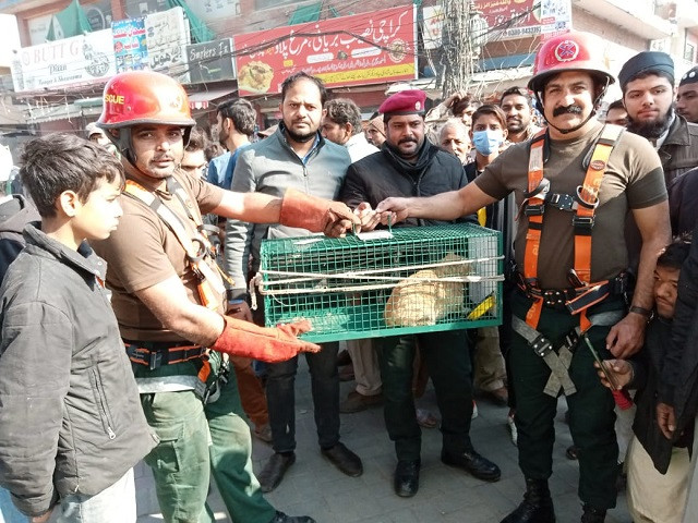 rescue 1122 officials pose with the cat rescued from a track of the orange line metro in lahore photo express