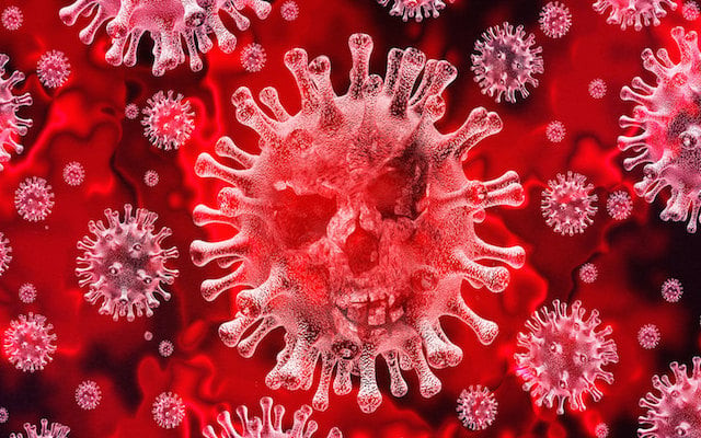 ai based device to detect virus in a minute ai based device to detect virus in a minute