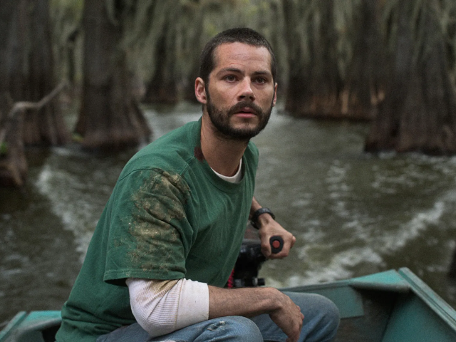 dylan o brien s caddo lake produced by m night shyamalan debuts with strong rotten tomatoes score dylan o brien s caddo lake produced by m night shyamalan debuts with strong rotten tomatoes score