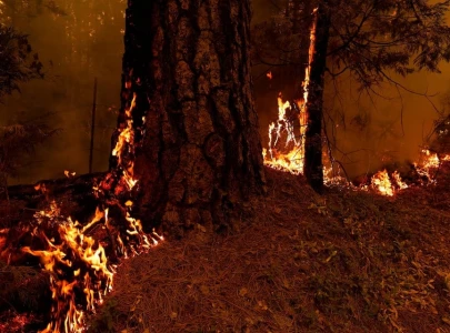 massive california wildfire becomes nation s largest blaze