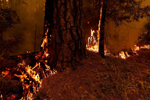 flames rise in lyonsville california us july 27 2024 photo reuters flames rise in lyonsville california us july 27 2024 photo reuters