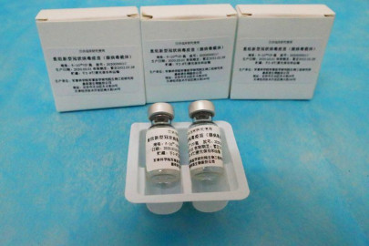 pakistan approves chinese cansino vaccine for emergency use pakistan approves chinese cansino vaccine for emergency use
