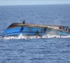 half of the people would still be alive if rescue had come survivor of channel boat capsize