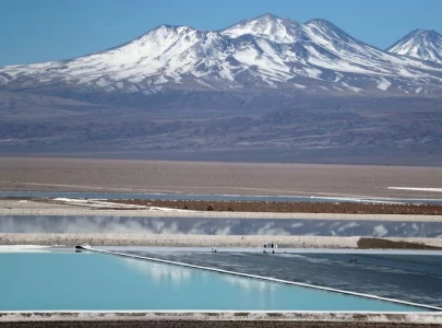 chile plans to nationalise vast lithium industry