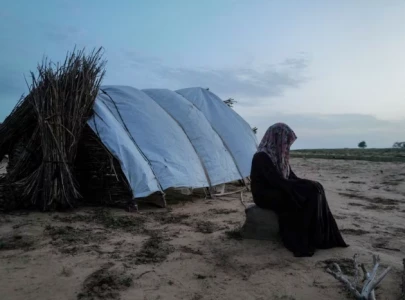 ethnic killings in one sudan city left up to 15 000 dead   un report