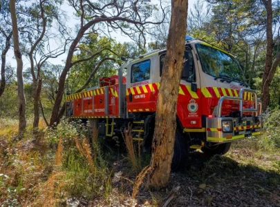 australia sweats in heatwave lifting bushfire risk amid el nino
