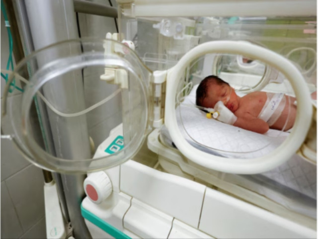 palestinian baby girl saved from the womb of her mother sabreen al sheikh al sakani who was killed in an israeli strike along with her husband shokri and her daughter malak lies in an incubator at al emirati hospital in rafah in the southern gaza strip april 21 2024 reuters mohammed salem