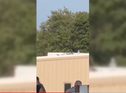 watch video shows gunman shot on roof of nearby building in trump rally watch video shows gunman shot on roof of nearby building in trump rally
