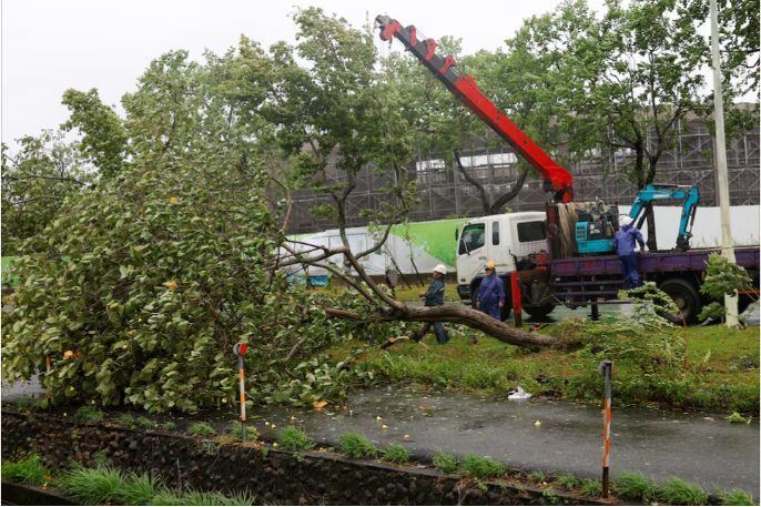 workers use a crane while cutting a fallen tree after typhoon gaemi passed northern taiwan in yilan taiwan july 25 2024 reuters carlos garcia rawlins