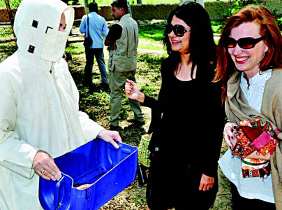 bio diversity vulture population across the province has declined by 95