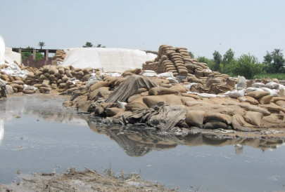 caught between duty and family