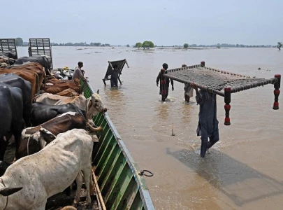 assistance to flood hit districts to continue undp