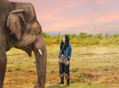 watch trailer of cher the loneliest elephant released