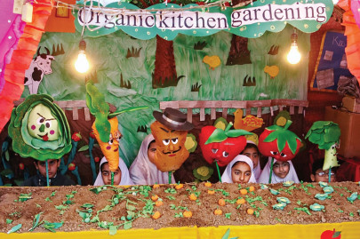 nature carnival engages kids on green issues