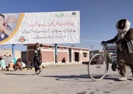 ignorance keeps polio alive