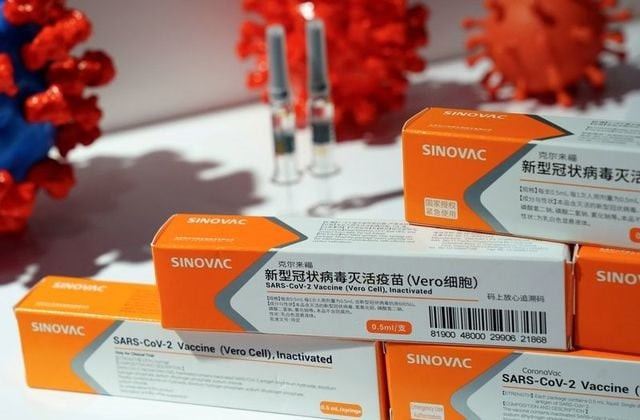 sinovac global to invest 200m in punjab sinovac global to invest 200m in punjab
