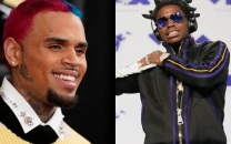 lil wayne chris brown and others accused of misusing covid relief funds on luxury expenses