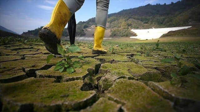 experts discuss challenges to climate resilience experts discuss challenges to climate resilience