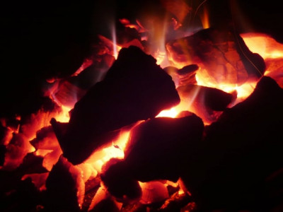 power generation coal contribution falls further power generation coal contribution falls further