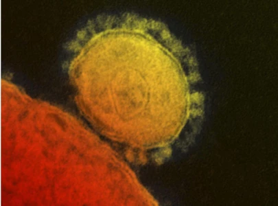 first mers coronavirus case confirmed in pakistan