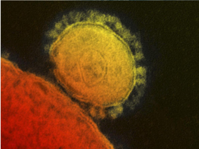 mers photo reuters