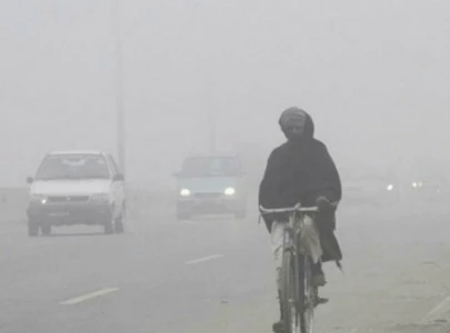hazardous smog from india chokes lahore visibility drops to 800m