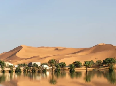 in pictures sahara desert transformed after rare rains flood dry landscape
