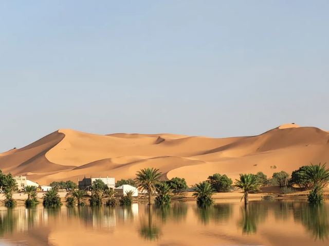 an oasis is reflected in a lake caused by heavy rainfall in the desert town of merzouga near rachidia southeastern morocco ap photo