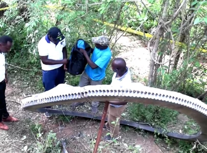 space object crashes in kenya