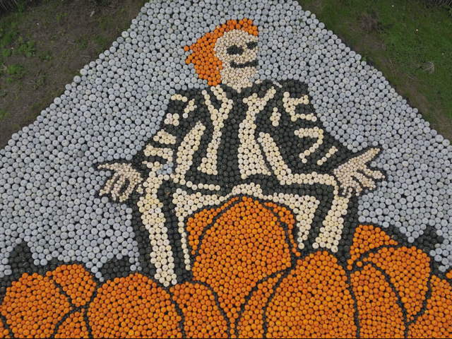 watch beetlejuice inspired artwork crafted from 10 000 pumpkins in uk