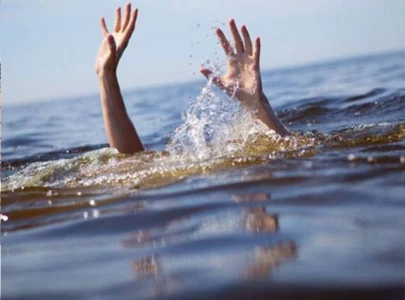 three picnickers of a family drown in sea