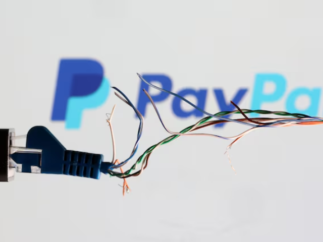 broken ethernet cable is seen in front of paypal logo in this illustration taken march 11 2022 reuters dado ruvic illustration file photo